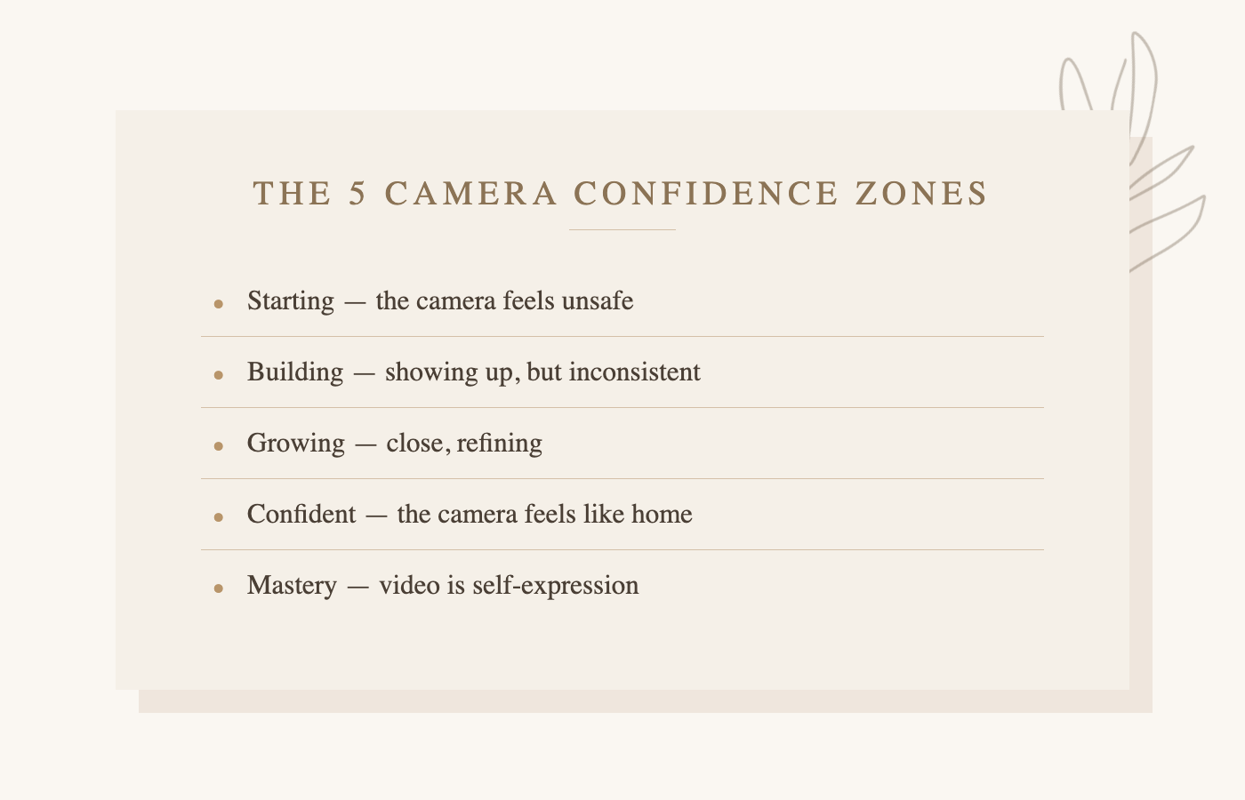 List of the five camera confidence zones from Starting to Mastery