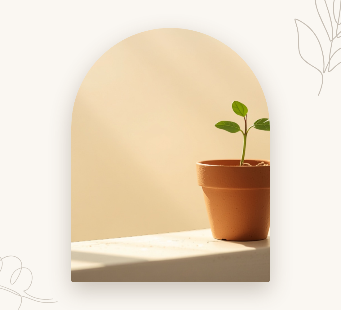 A seedling reaching for the light on a warm windowsill — confidence grows at its own pace